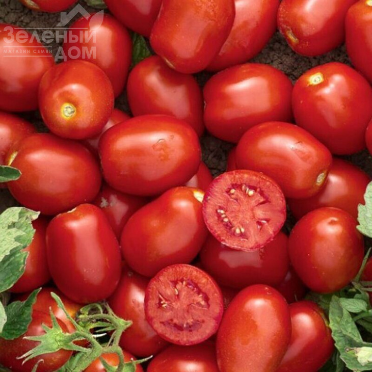 Уссар F1 / Ussar F1,115-120 днів фото 1