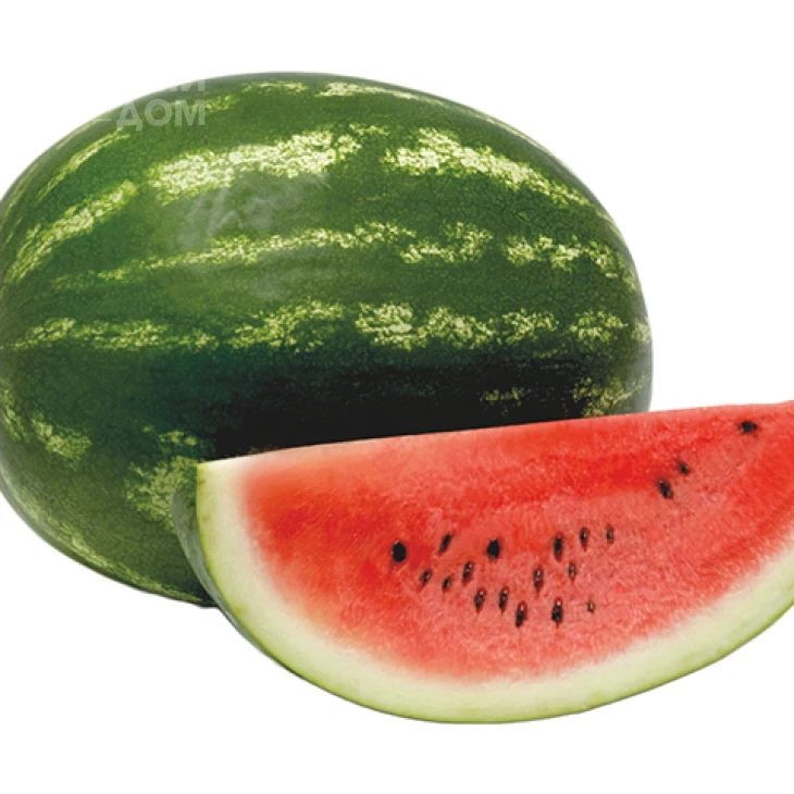 Минерва F1 / Minerva F1, 60-65 дней фото 1