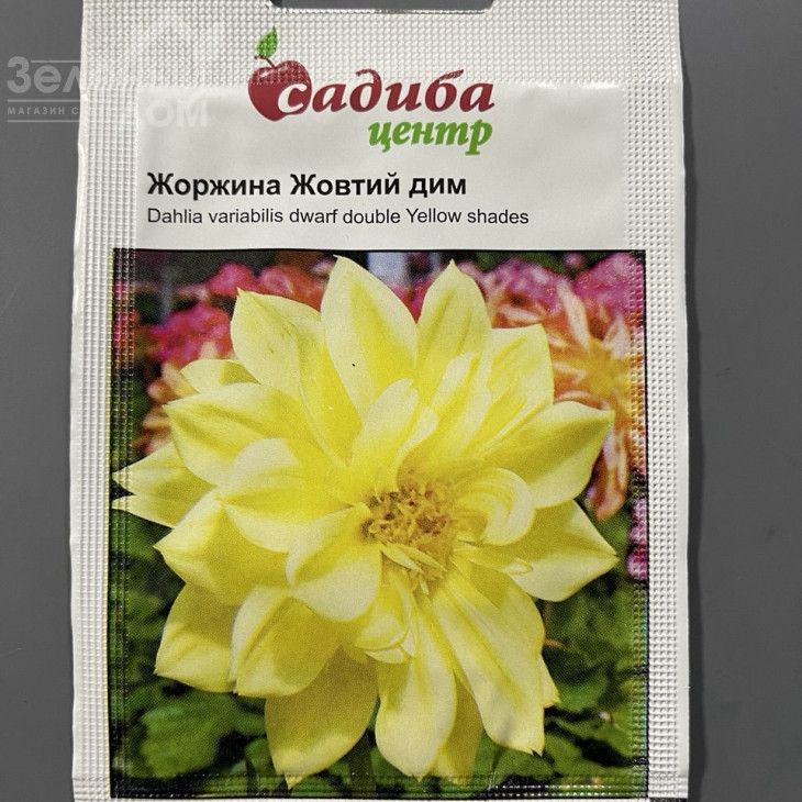 Жоржина Жовтий дим фото 1