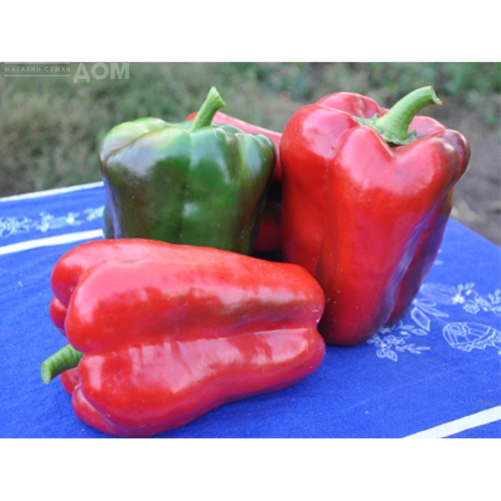 Вівальді F1 / Vivaldi F1,60-62 фото 1