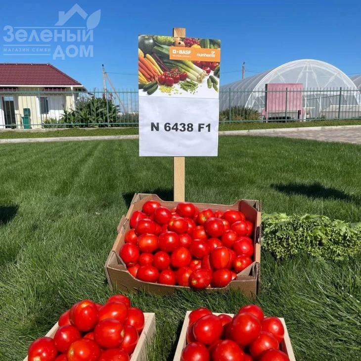 Н6438 F1 / N6438 F1 фото 1