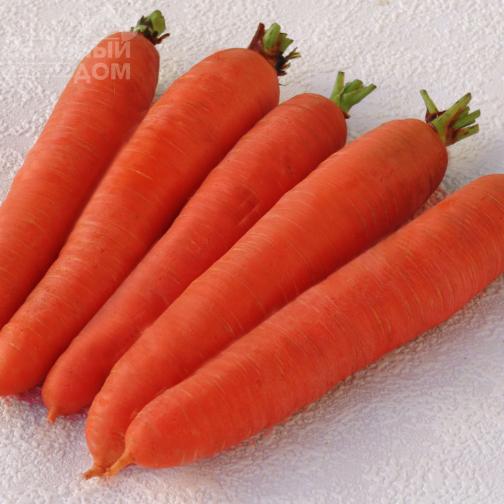 Цидера / Cidera,145-155 днів фото 1