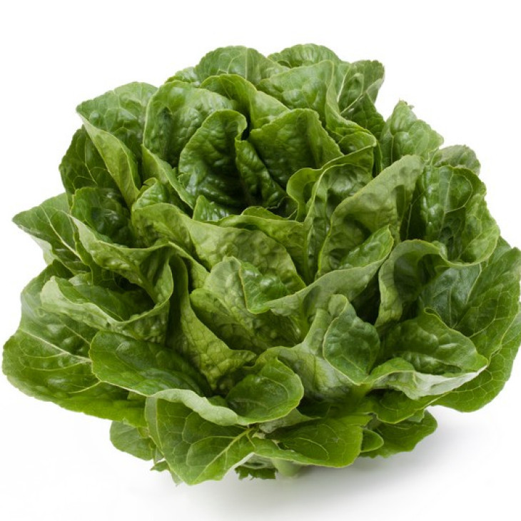 Квінтус / Quintus фото 1