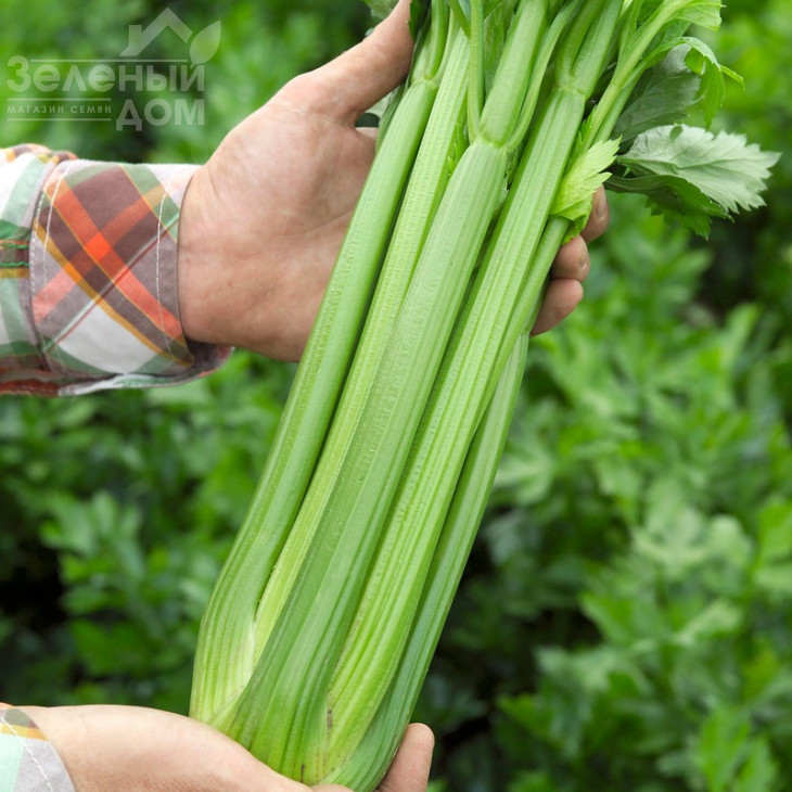 Артур / Artur,110 днів фото 3