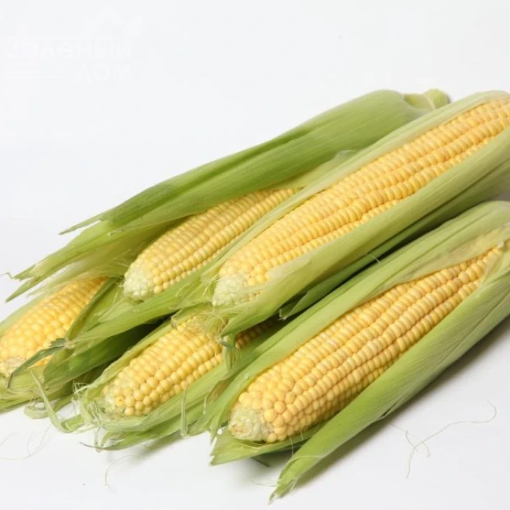 ЛС 899 F1 / LS 899 F1 фото 1