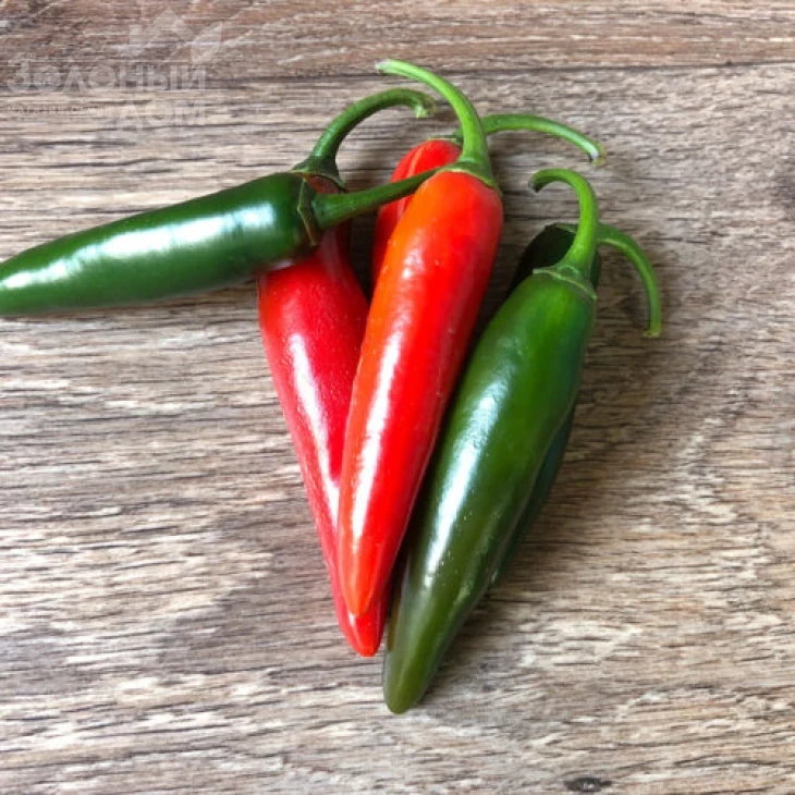 Шарп F1 / Sharp F1 фото 2