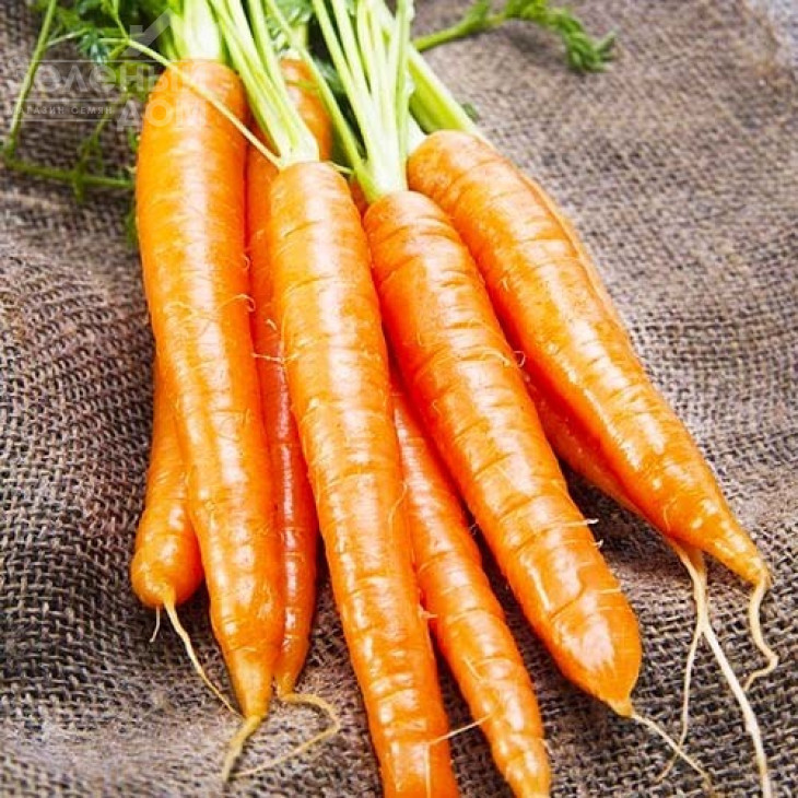 Осіння королева / Autumn Queen фото 1