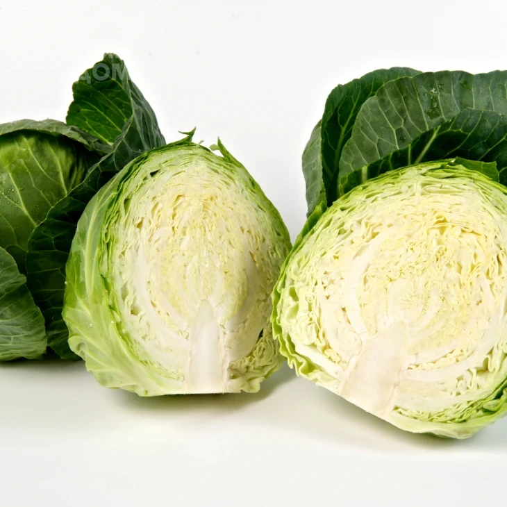 Монализа F1 / Monaliza F1,55-65 дней фото 1