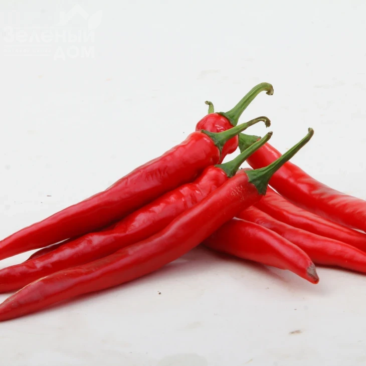 Кампече F1 / Kampeche F1,75-80 дней фото 2