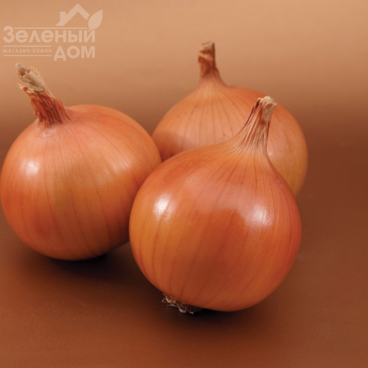 Братко F1 / Bratko F1,115-120 днів фото 1