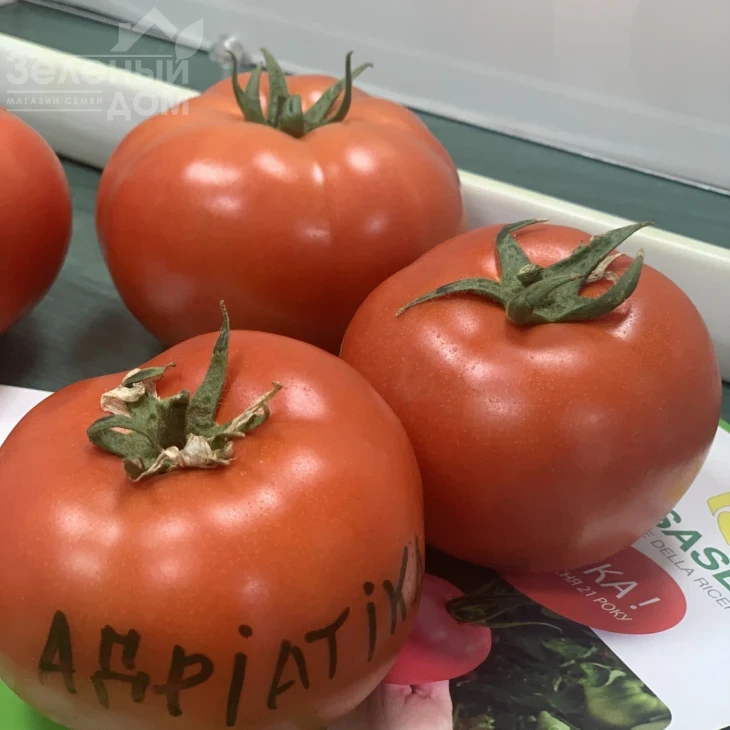 Адриатика F1 / Adriatika F1, 60-65 дней фото 2