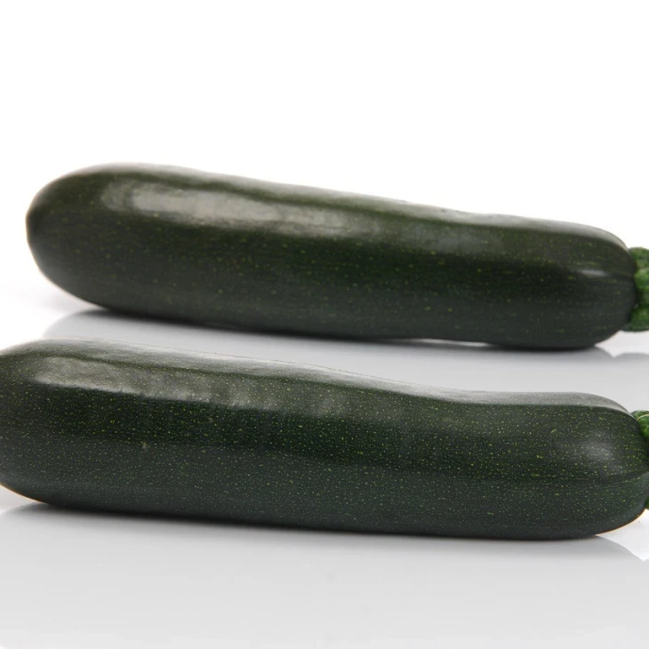 SQ 11009 F1 / SQ 11009 F1 фото 2