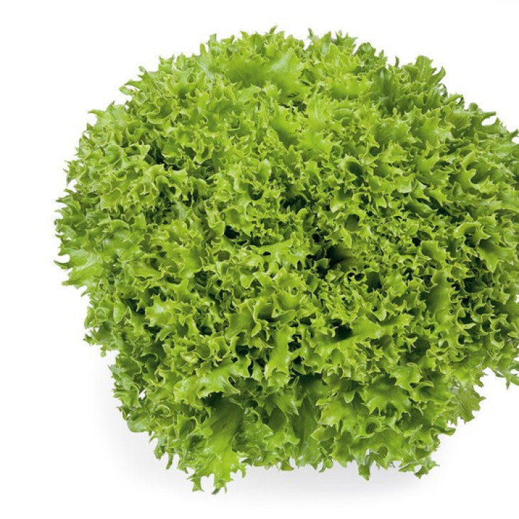 Експедішн / Expidition фото 1