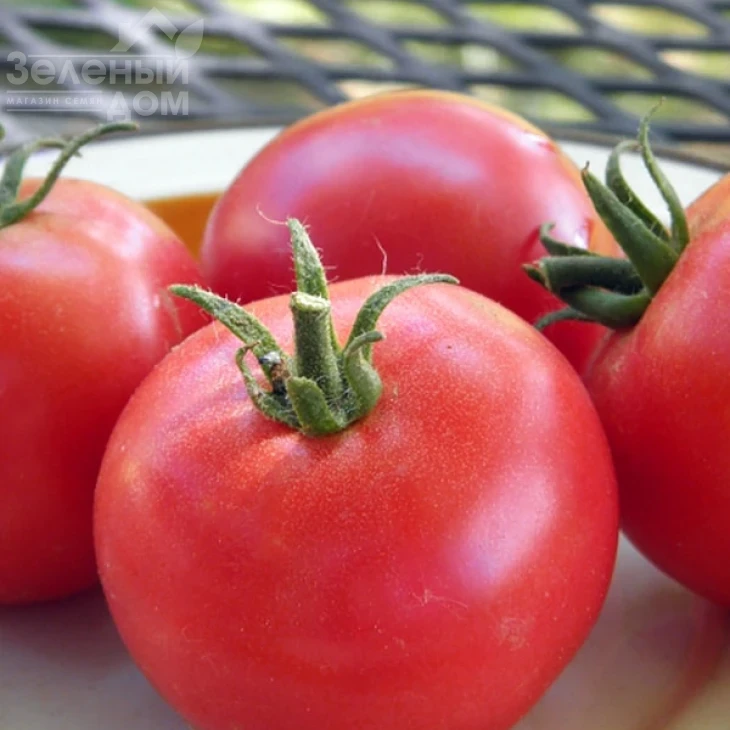 Роялпинк F1 / Royalpink F1 фото 2