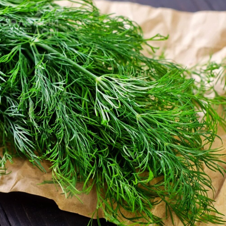 Мега Тетра / Mega Tetra фото 1