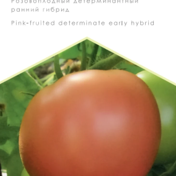 Вано F1 / Vano F1, 100-105 дней фото 1