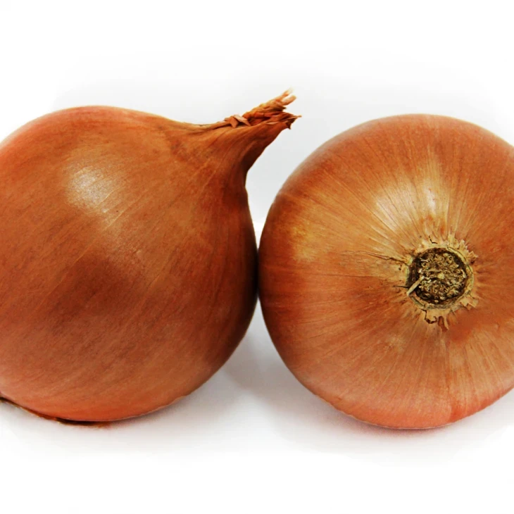 Форум / Forum фото 1