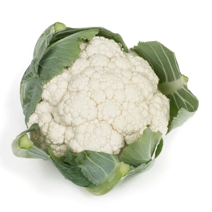 Ариензо F1 / Arienzo F1, 60-65 дней фото 2