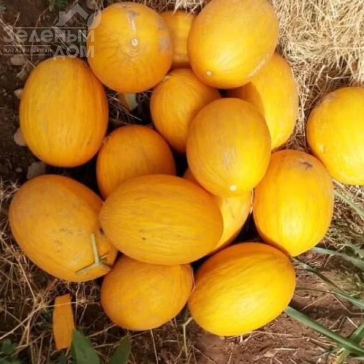 Каррера F1 / Karrera F1, 80-85 дней фото 4