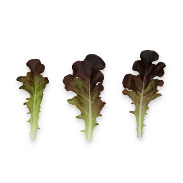 Боттас / Bottas фото 3