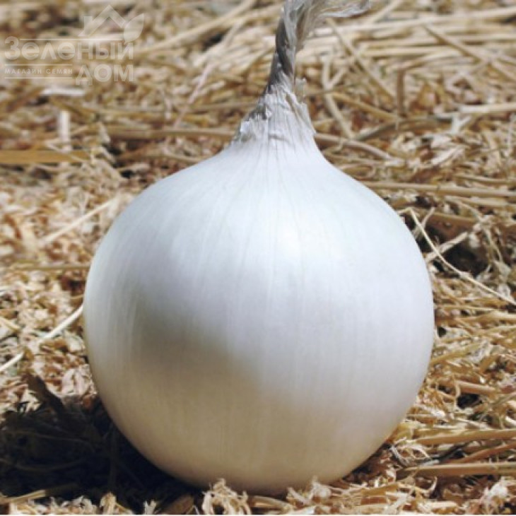 Венус F1 / Venus F1,115-120 днів фото 1