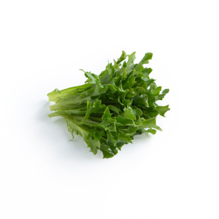 Чепмен / Chapman фото 2