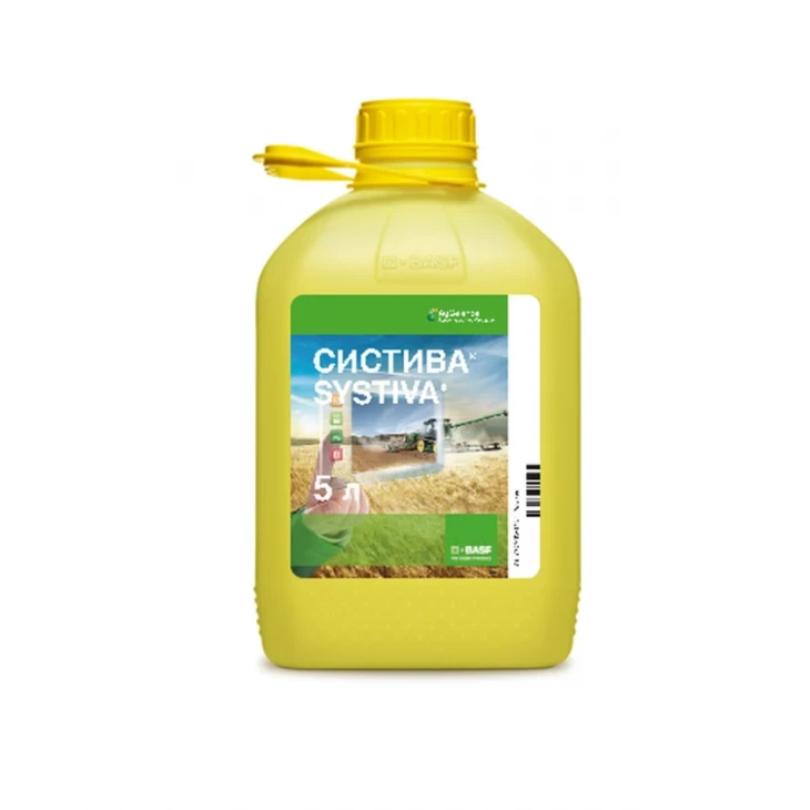 Систива / Systiva, ТН фото 1