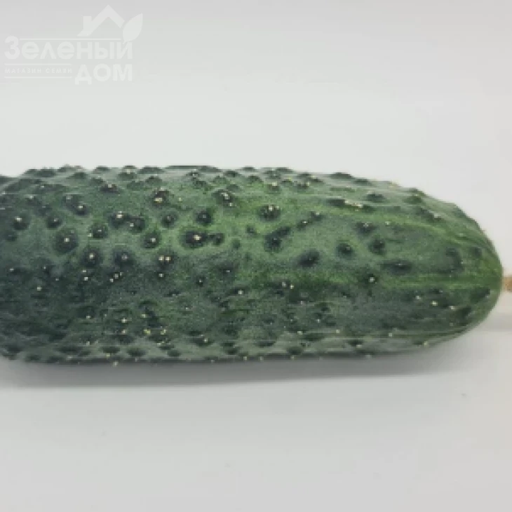 КС 45 F1 / KS 45 F1 фото 2