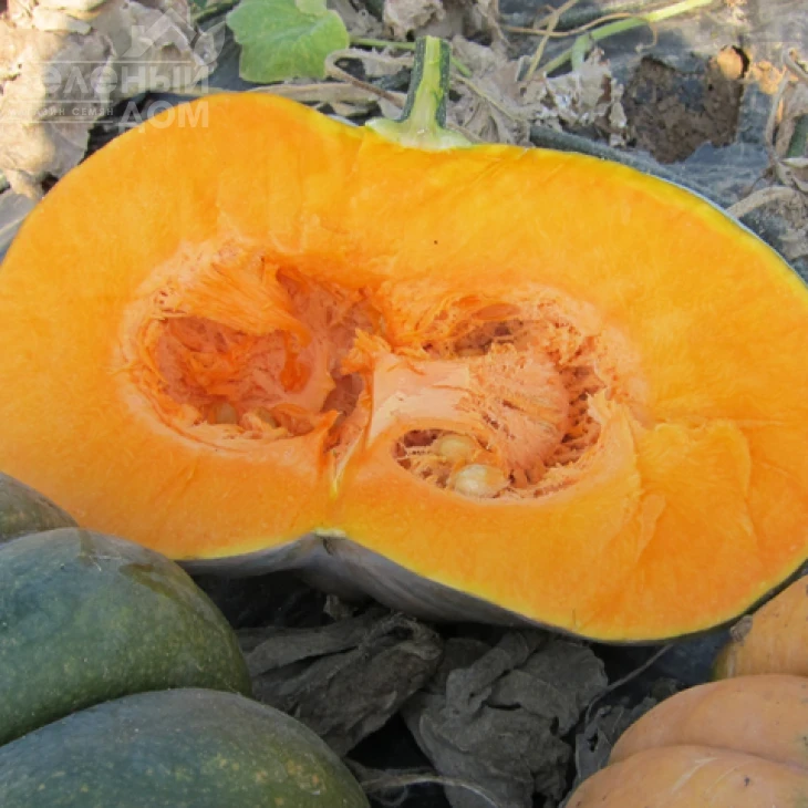 Маноск F1 / Manosk F1,110-115 дней фото 1