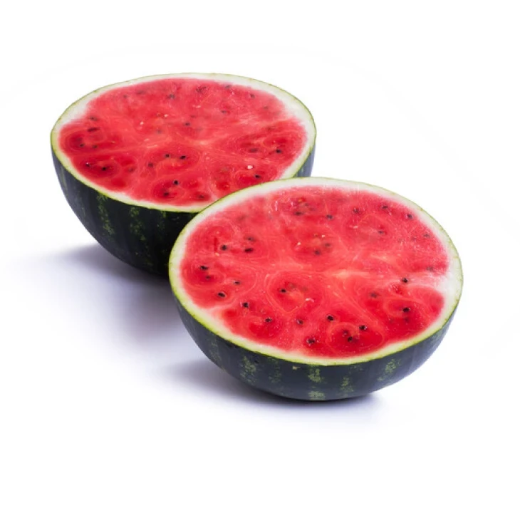 Лузитана F1 /  Lusitana F1, 55-58 дней фото 1