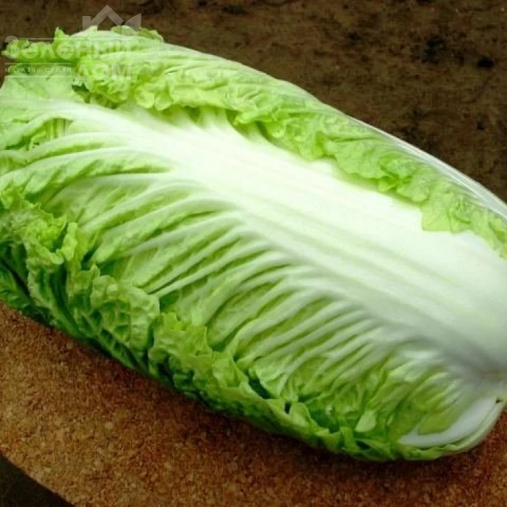 Маноко F1 / Manoko F1,45-48 дней фото 4