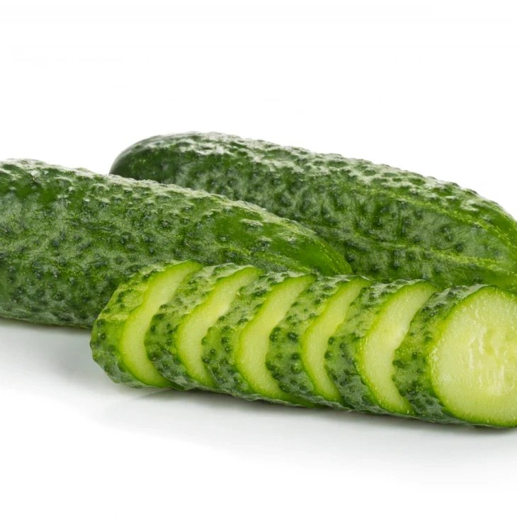 Бридж F1 / Bridge F1 фото 1