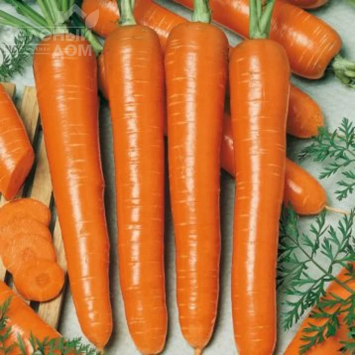 Маркетт / Markett,90-100 дней фото 1