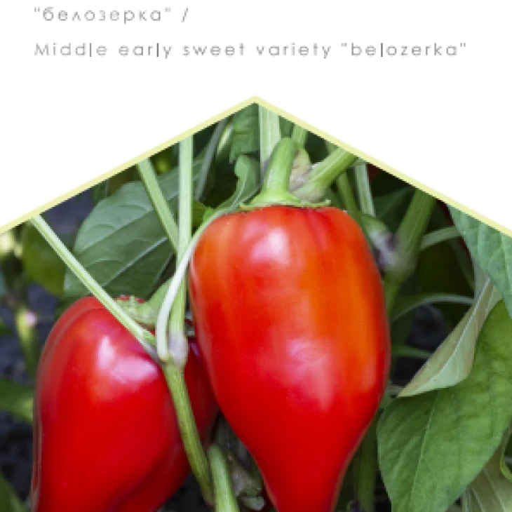 Кирилл / Kirill, 110 дней фото 1