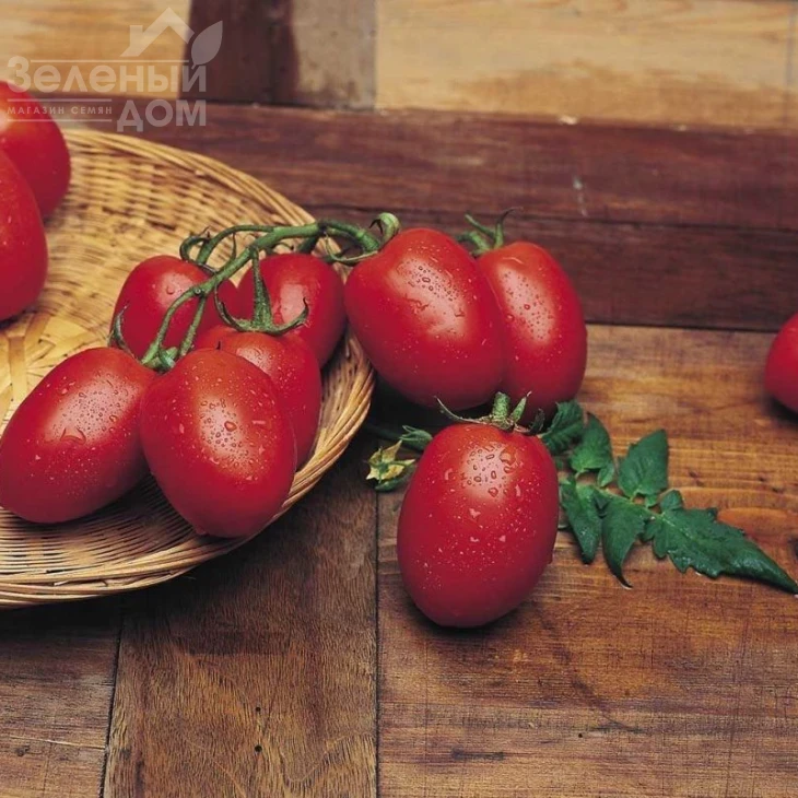 Рио Гранде / Rio Grande,80-90 дней фото 1