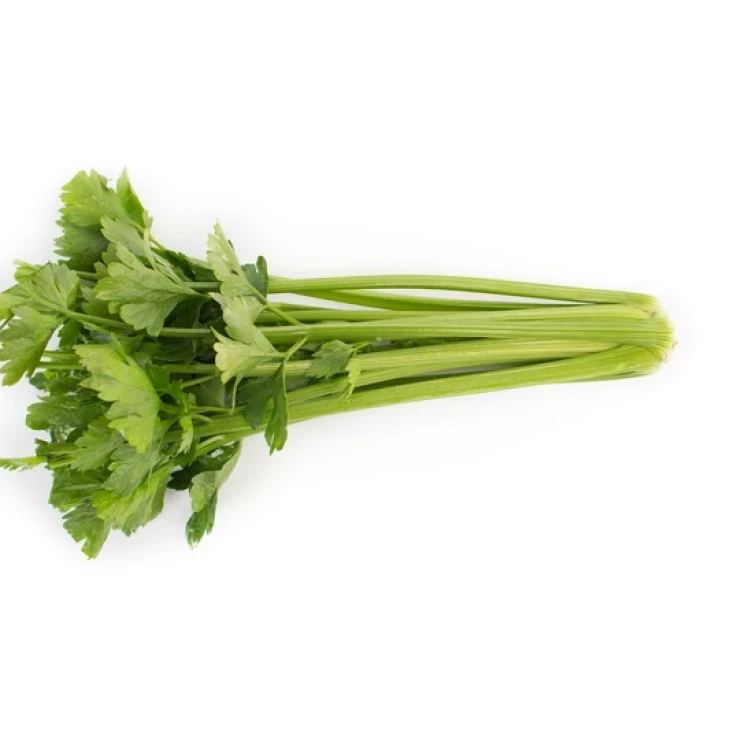 Келвин / Kelvin,140 дней фото 4