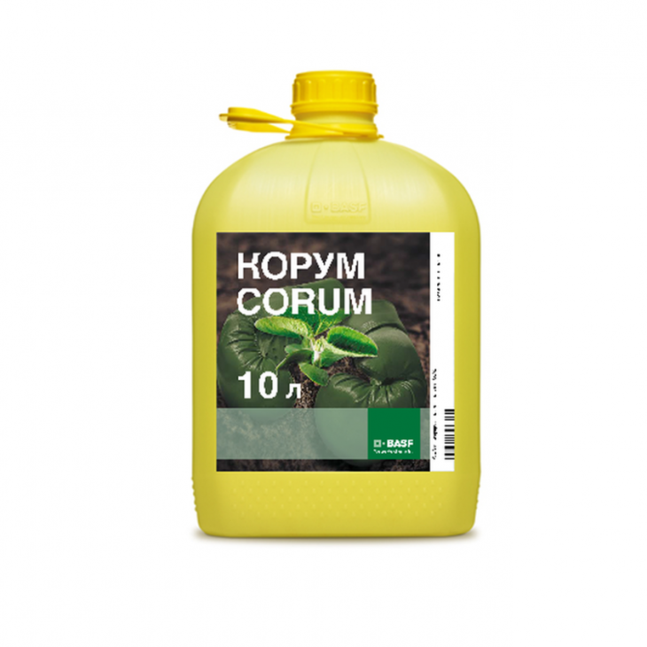 Корум / Corum, РК фото 2