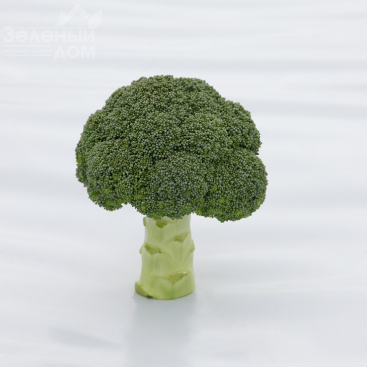 Монрелло F1 / Monrello F1, 80-85 днів фото 1