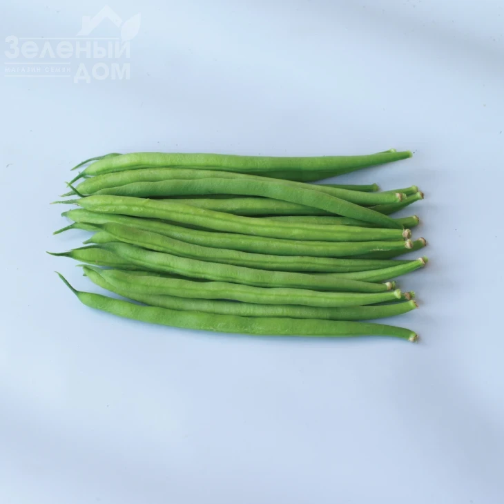 Вальверде / Valverde,70 дней фото 1