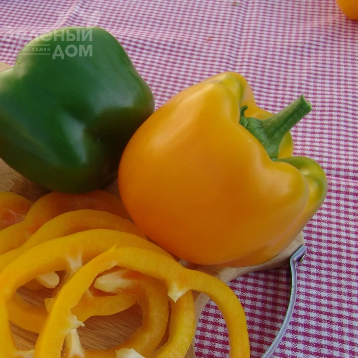 Афродита / Afrodita фото 1