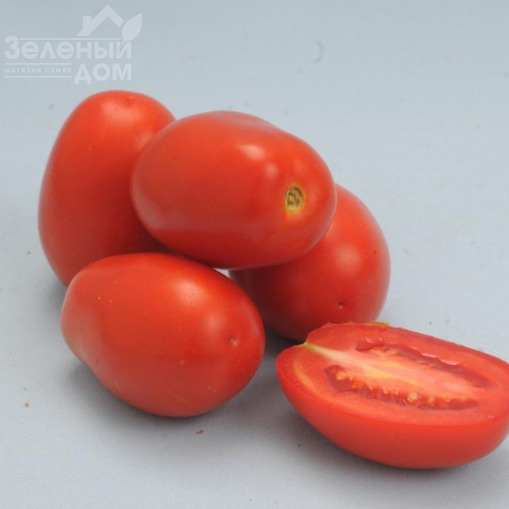 Кінг F1 / King F1,90-95 днів фото 1