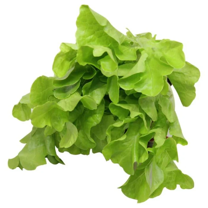 Кирибати / Kiribati фото 1