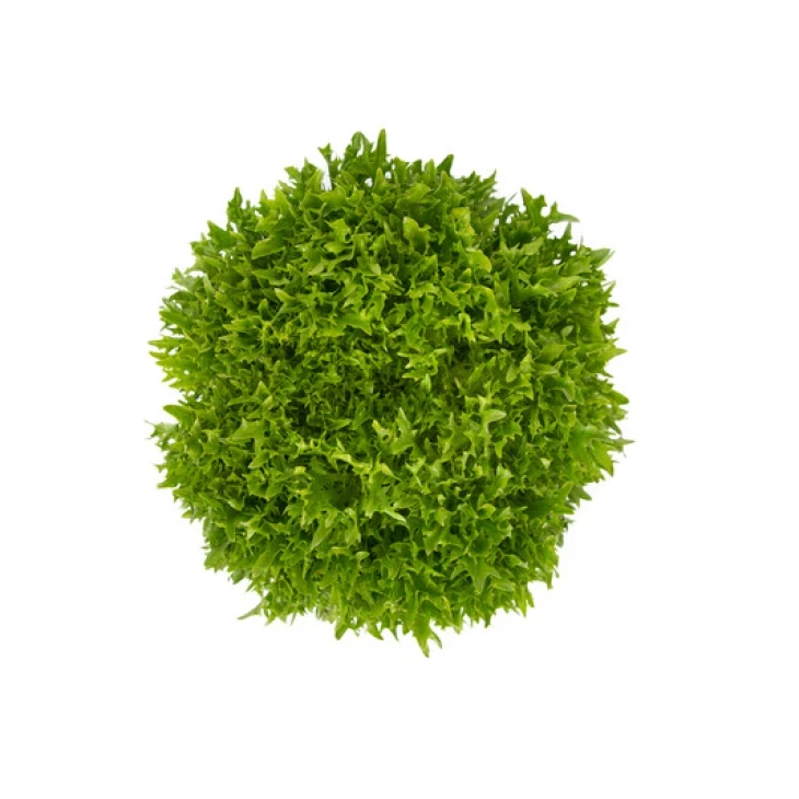 Экзем / Exam фото 3