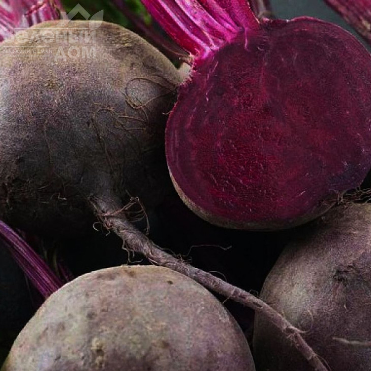 Детройт / Detroit,90-100 днів фото 1