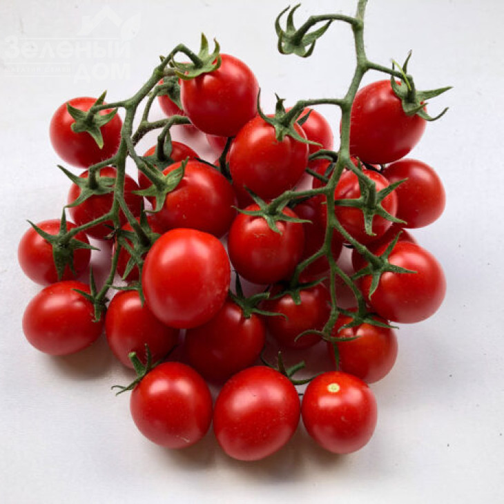 Дредд F1 / Dredd F1, 95 днів фото 1