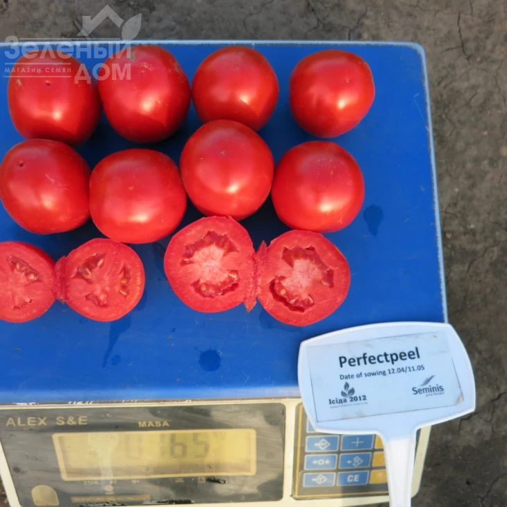 Перфектпил F1 / Perfectpeel F1,60 - 65 дней фото 4