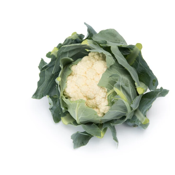 Веноса F1 / Venosa F1, 70 - 80 дней фото 3