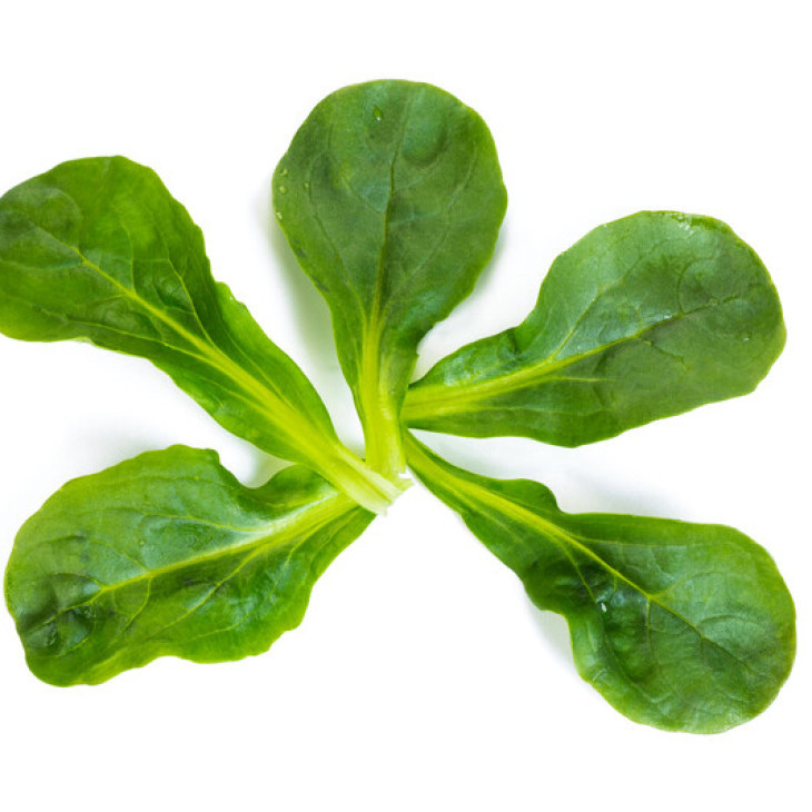 Вейрон / Veyron фото 3