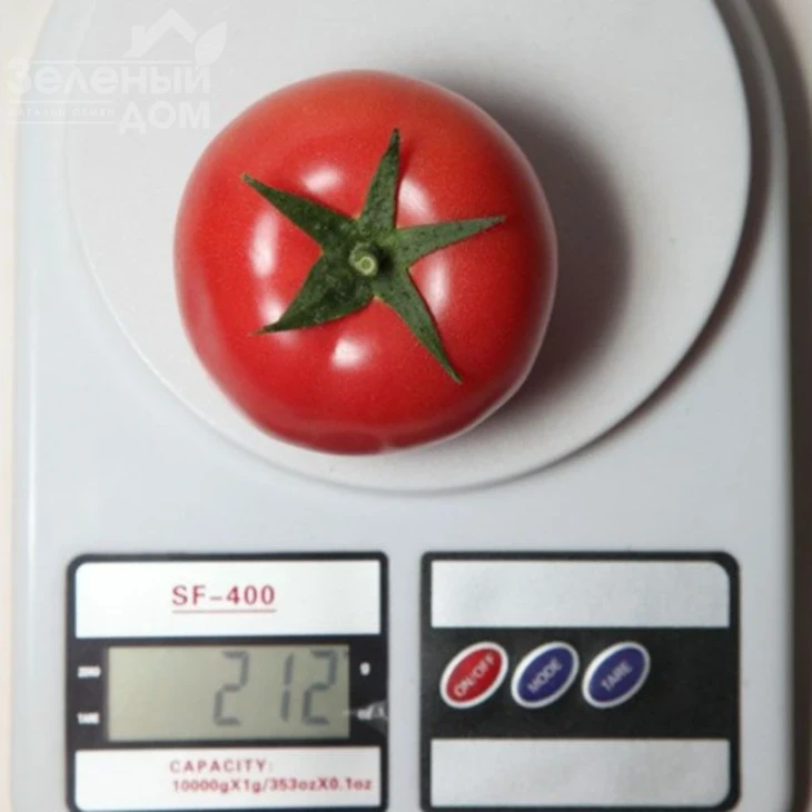 КС 311 F1 / KS 311 F1 фото 4