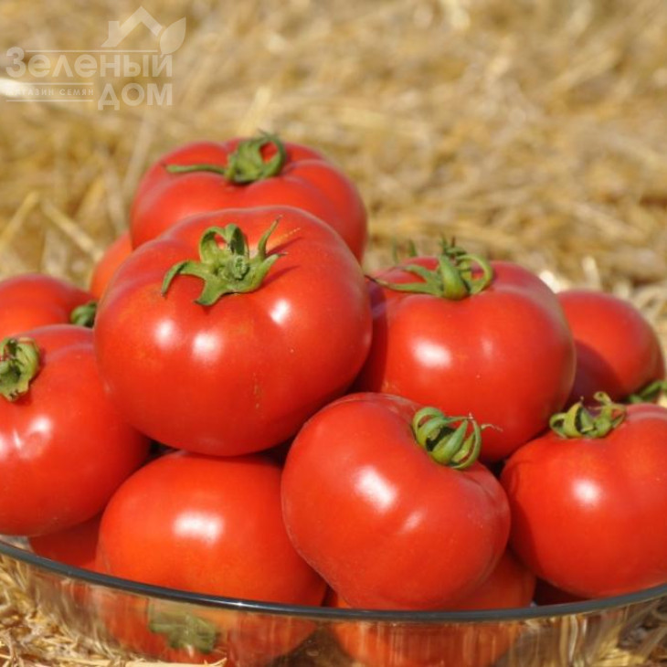 Світ Муссон F1 / Svit Musson F1, 60-68 днів фото 2